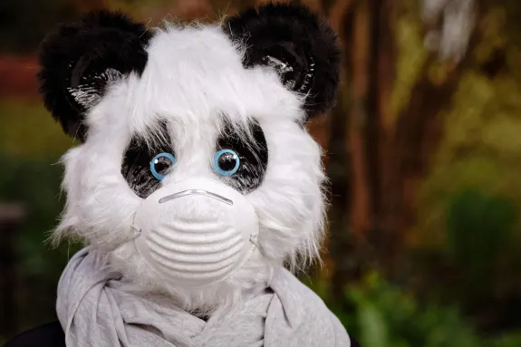 9 Casino Kundeservice